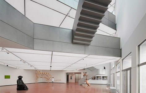 海蒂・霍顿收藏博物馆，维也纳 / tnE Architects