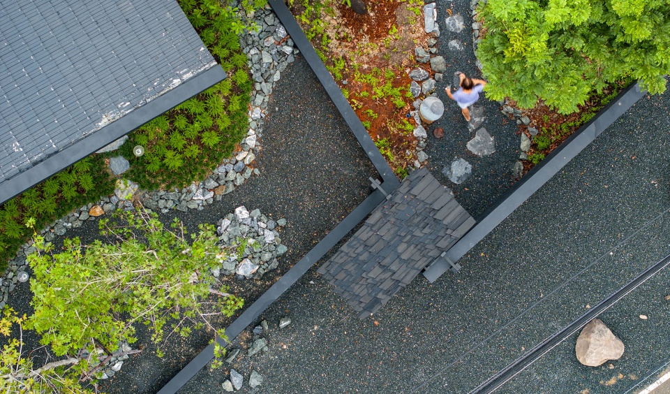 baan dam by housescape design lab