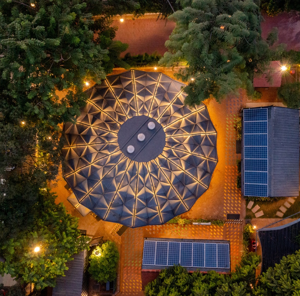 darwin bucky by andblack design studio