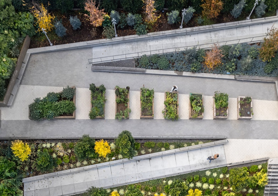 2021 asla residential design award of excellence edwin m lee apartments gls landscape architecture