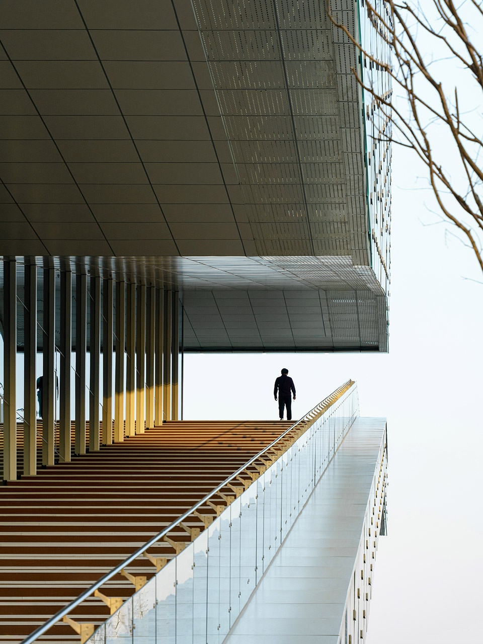 Hangzhou Olympic and International Expo Center Sports Complex Training Hall by AREP HZADI CO LTD