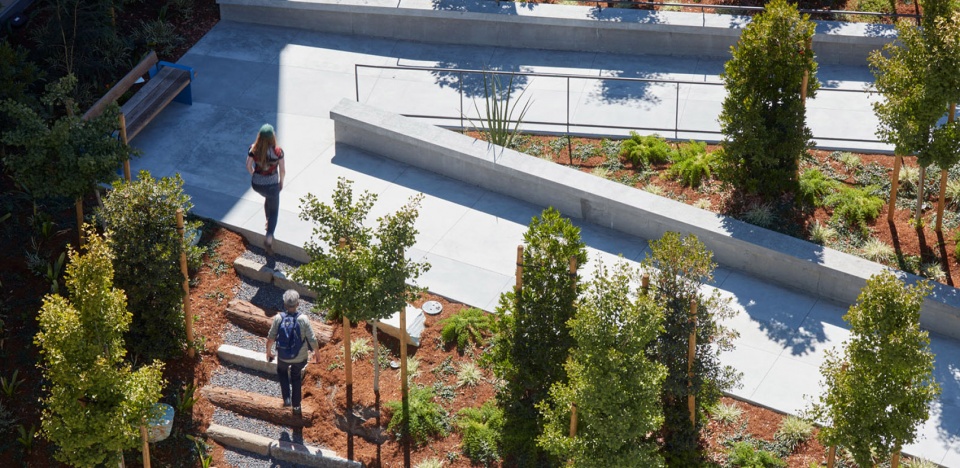 2021 asla residential design award of excellence edwin m lee apartments gls landscape architecture