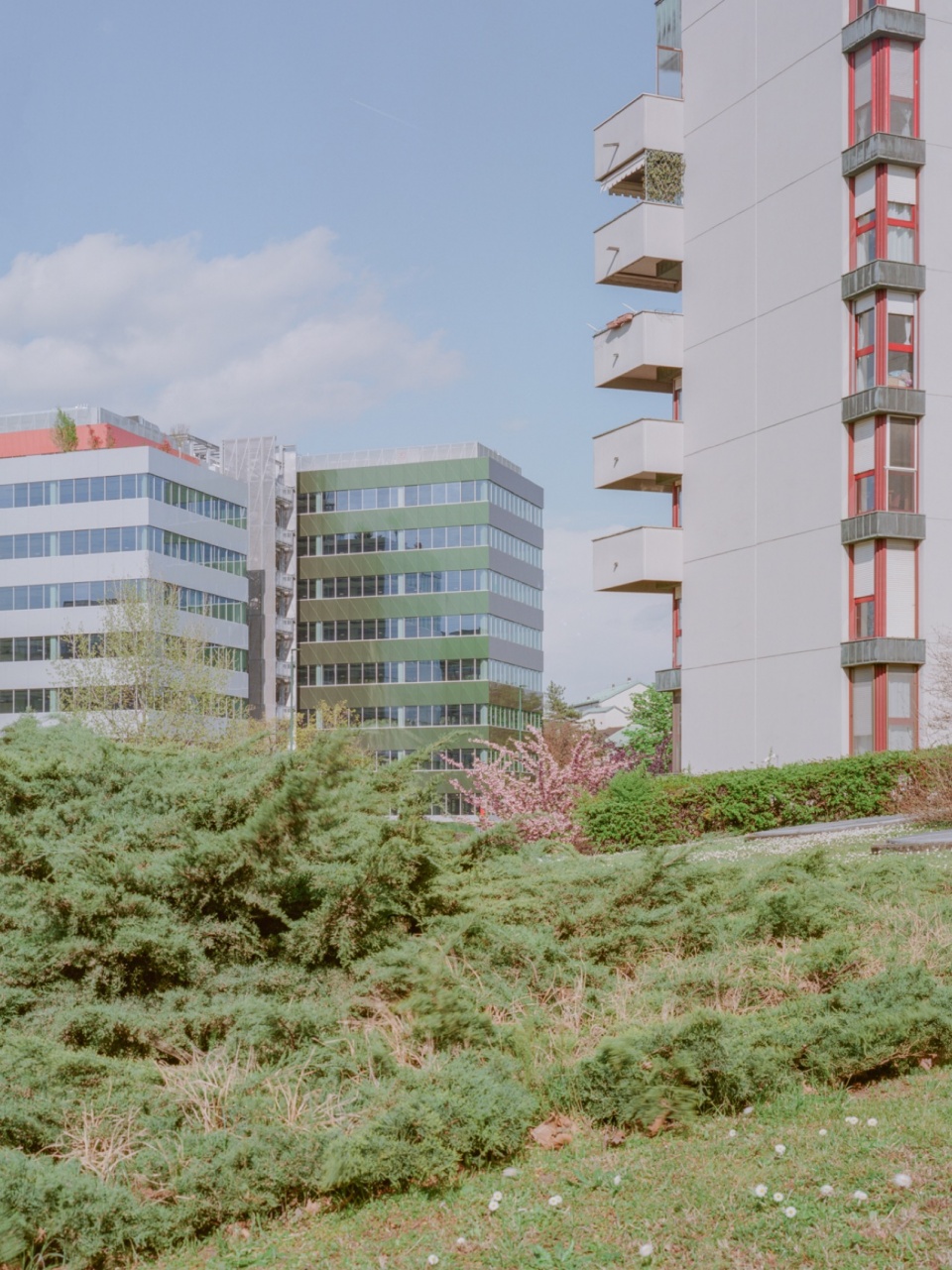 refurbishment and new construction of segreen business park