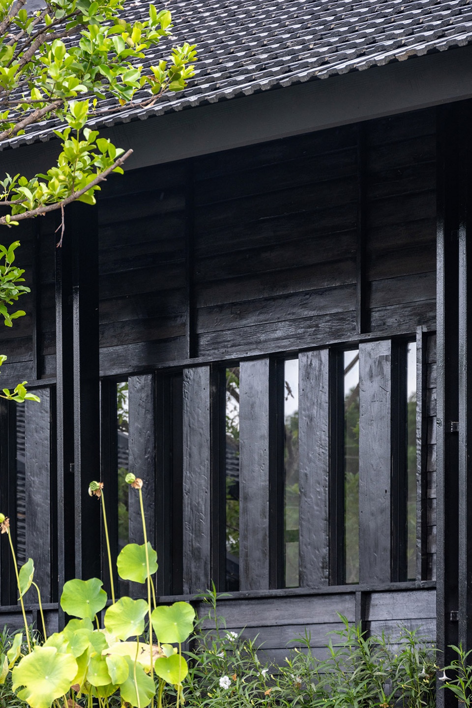 baan dam by housescape design lab