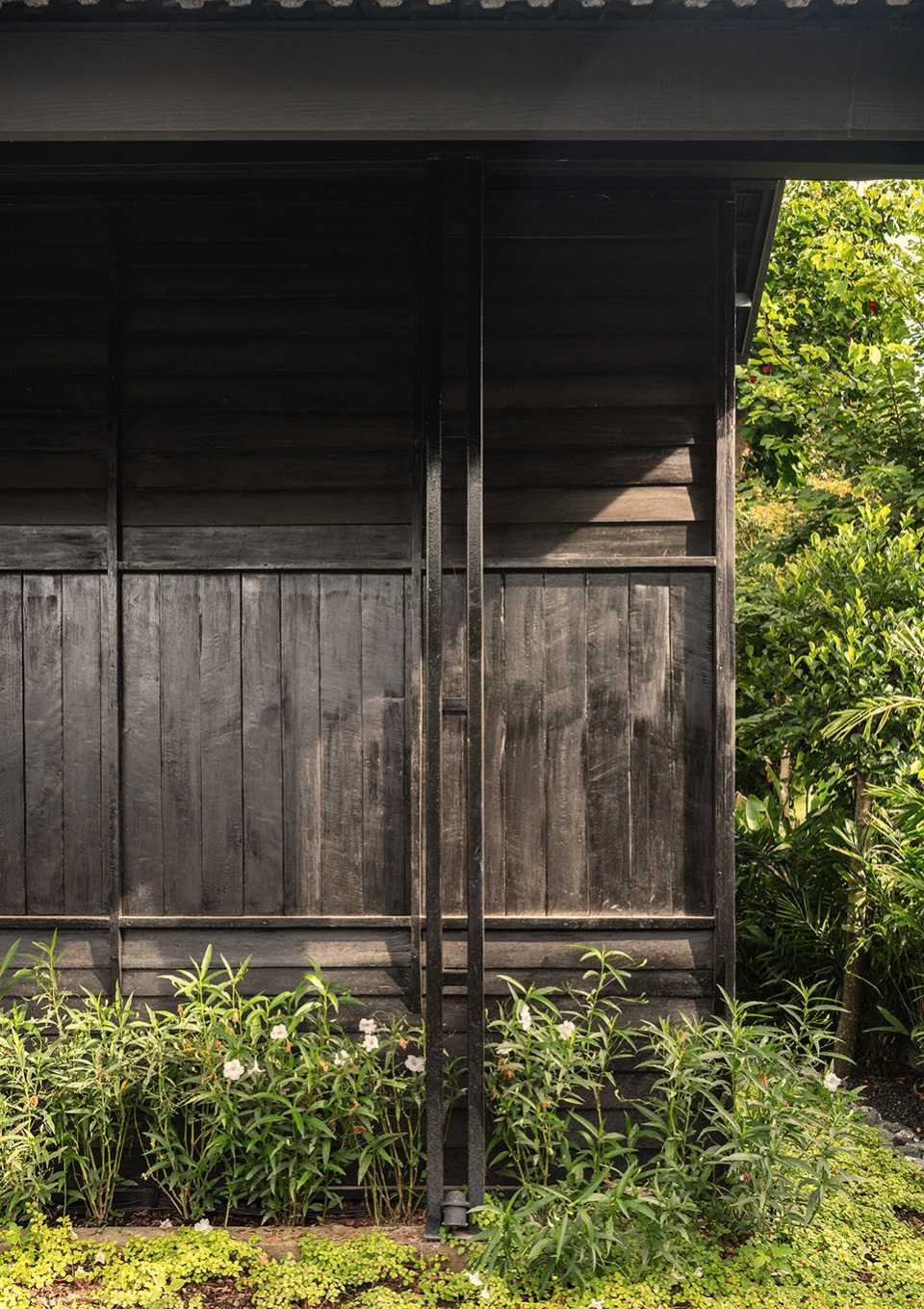 baan dam by housescape design lab