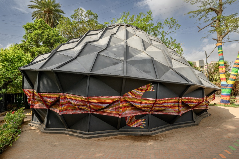 darwin bucky by andblack design studio