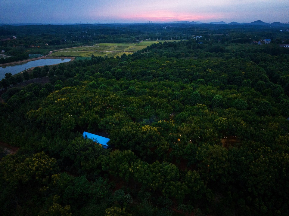 Wild Home 110 The Artist s Cabin China by Wiki World Advanced Architecture Lab
