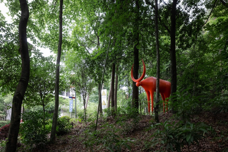 micro renewal for nanshan cattle herding village chongqing by 10design