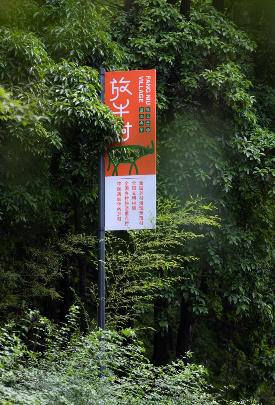 micro renewal for nanshan cattle herding village chongqing by 10design