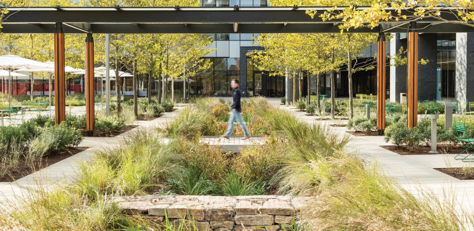 2022 asla general design award of honor from brownfield to green anchor in the assembly square district ojb