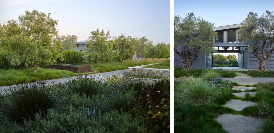 2022 asla residential design award of honor refugio ground studio