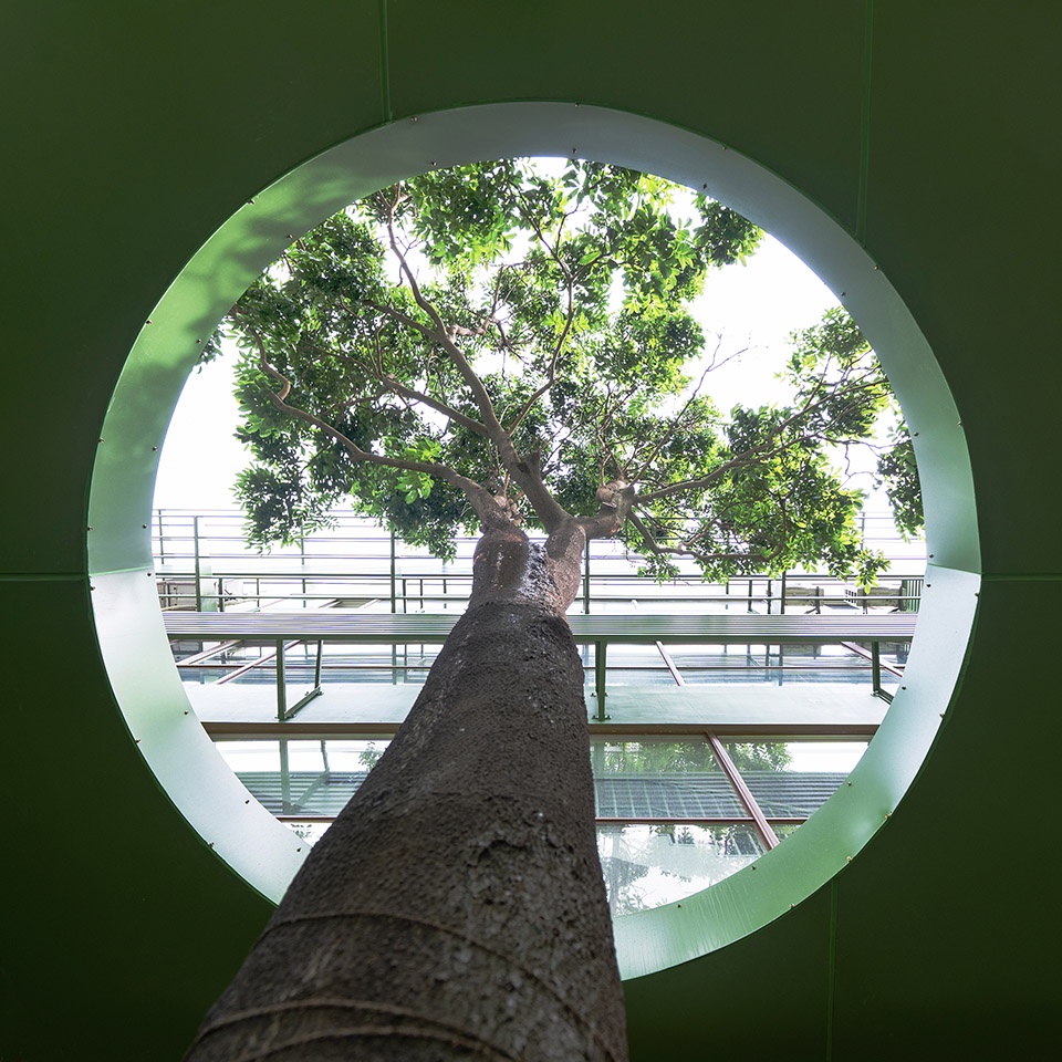 Shenzhen Birongwan kindergarten renovation project by Studio NOR