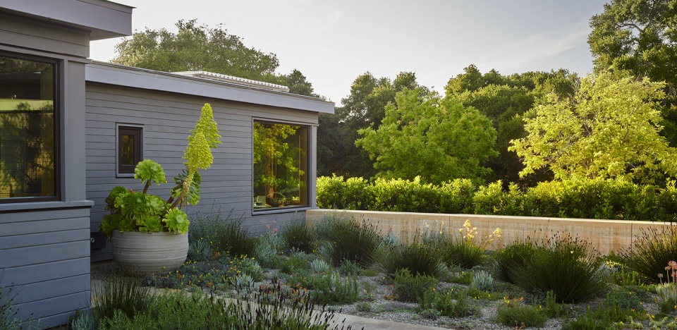 2022 asla residential design award of honor refugio ground studio