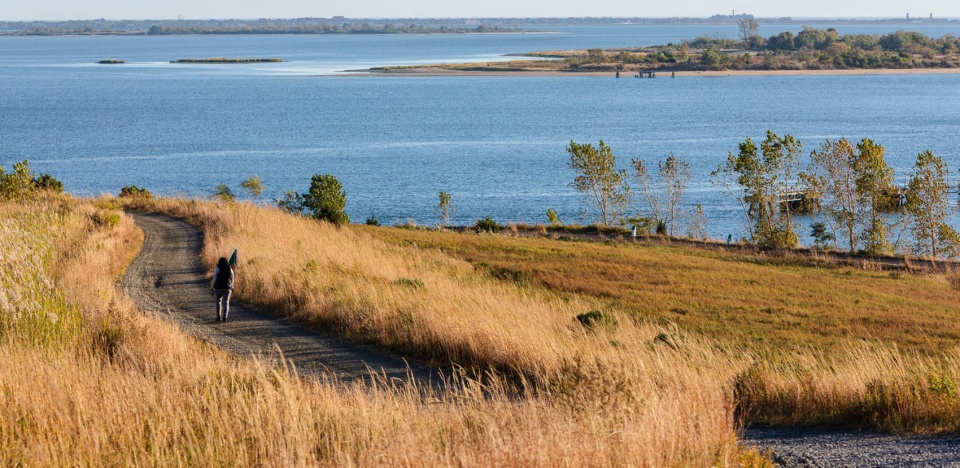 2022 asla urban design award of honor shirley chisholm state park michael van valkenburgh associates