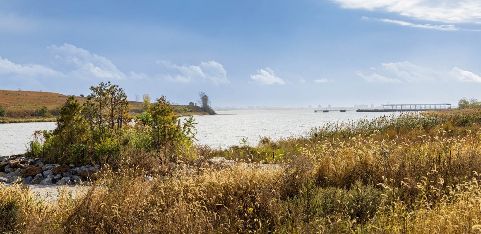 2022 asla urban design award of honor shirley chisholm state park michael van valkenburgh associates