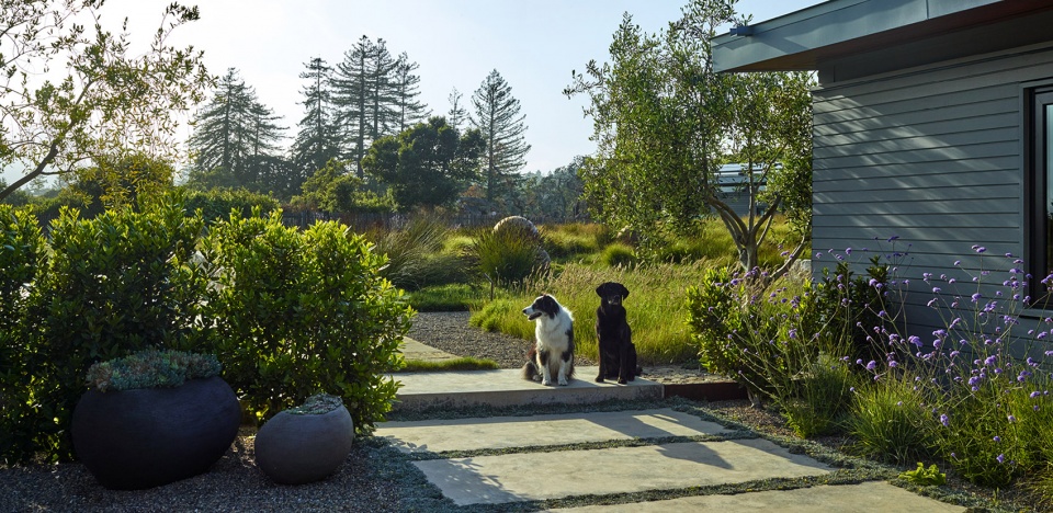 2022 asla residential design award of honor refugio ground studio