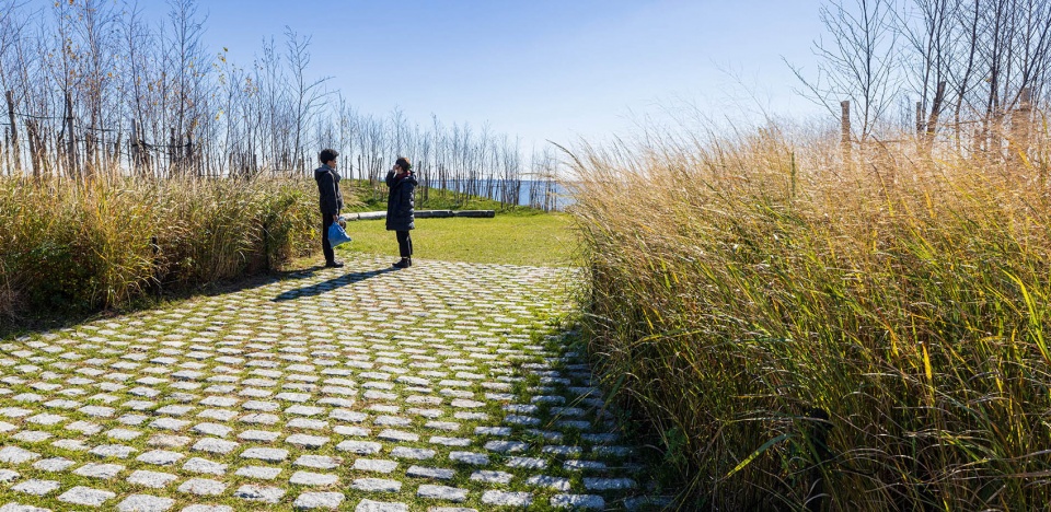 2022 asla urban design award of honor shirley chisholm state park michael van valkenburgh associates
