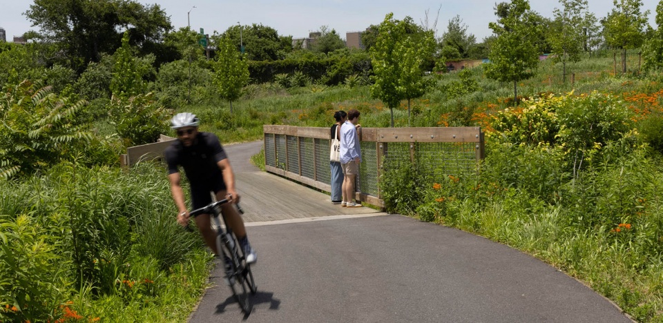 2022 asla urban design award of honor shirley chisholm state park michael van valkenburgh associates