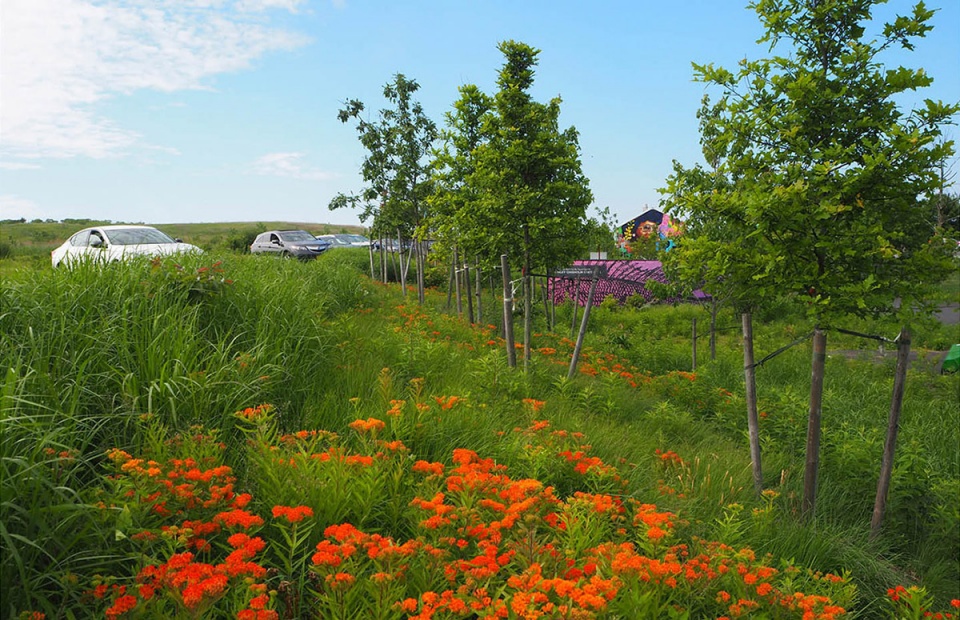 2022 asla urban design award of honor shirley chisholm state park michael van valkenburgh associates