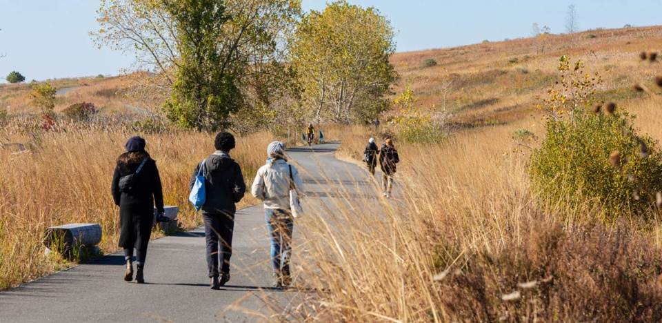 2022 asla urban design award of honor shirley chisholm state park michael van valkenburgh associates