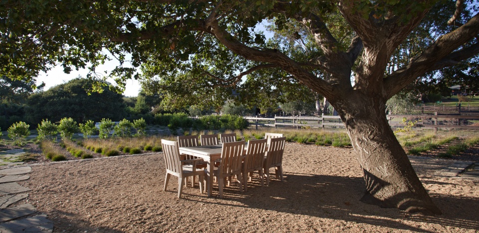 2022 asla residential design award of honor refugio ground studio