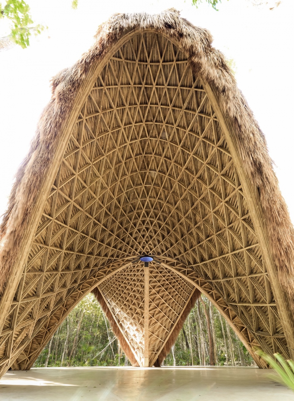 LUUM TEMPLE COLAB