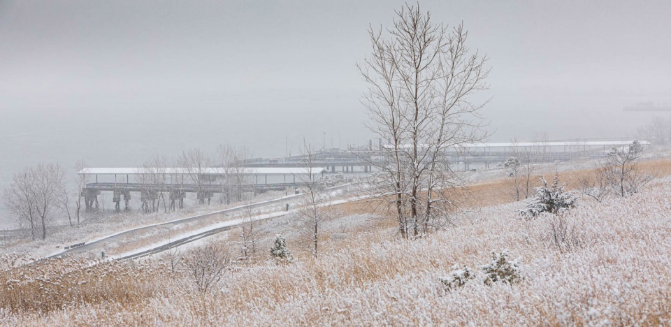 2022 asla urban design award of honor shirley chisholm state park michael van valkenburgh associates