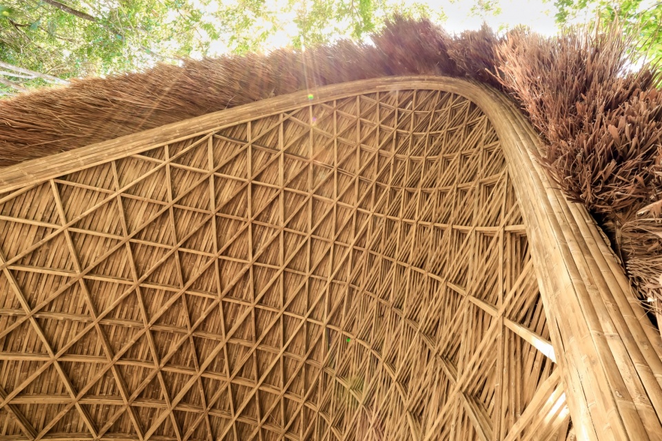 LUUM TEMPLE COLAB