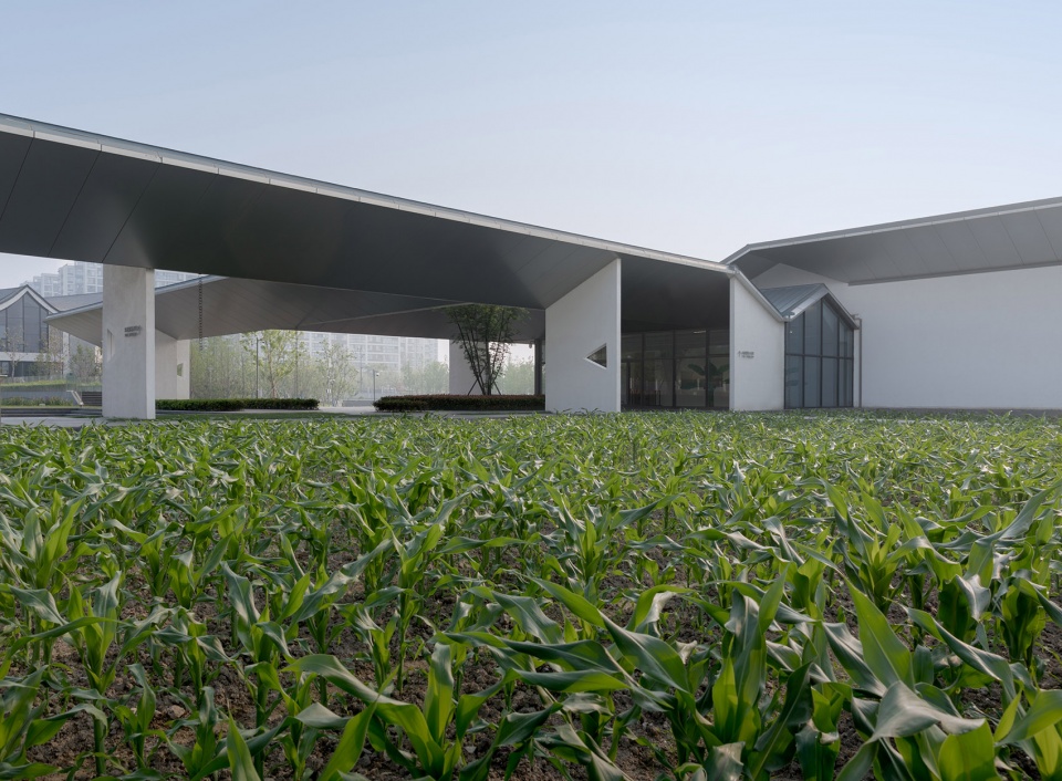 yuz museum by scenic architecture office
