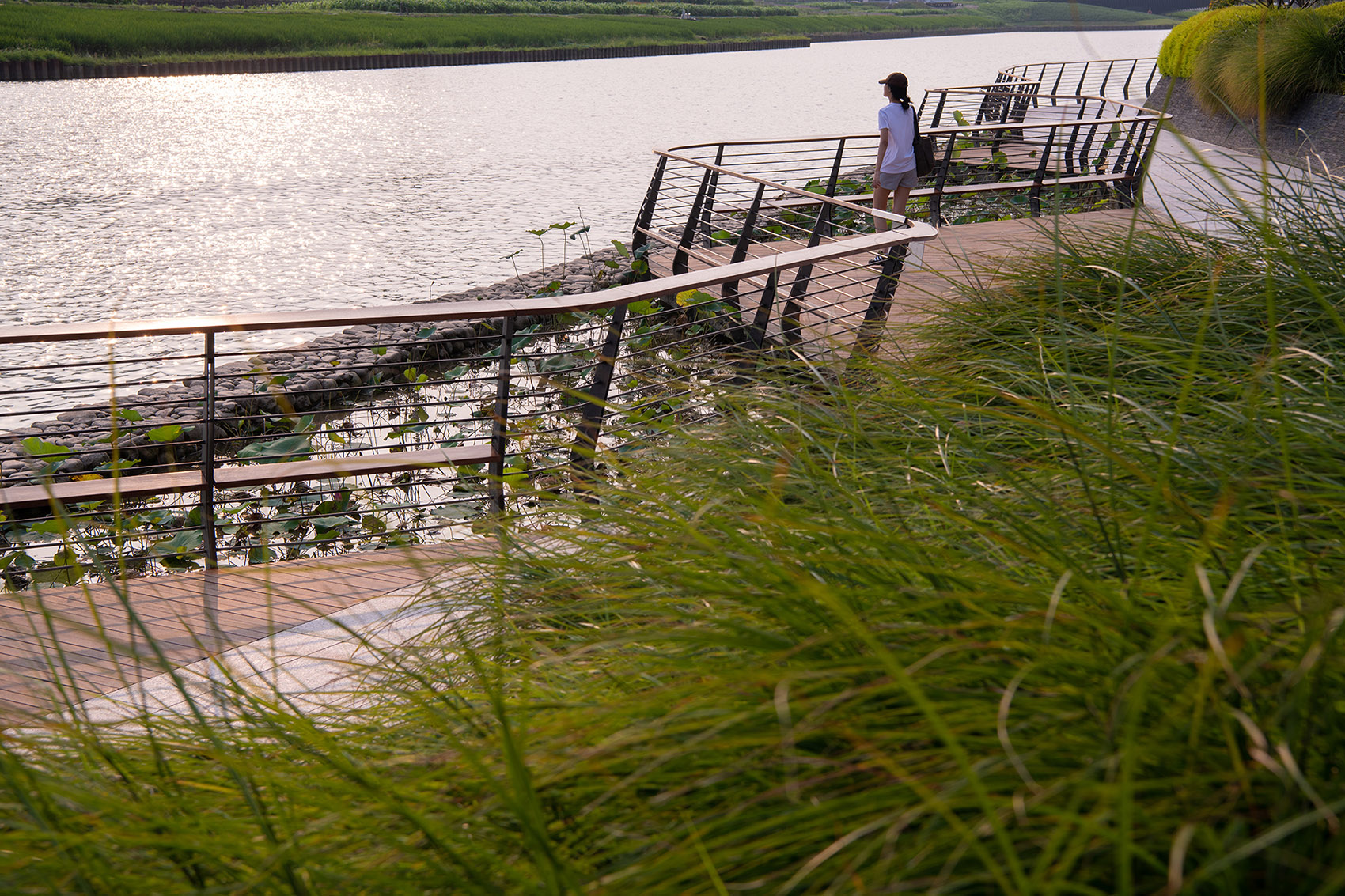 The waterfront of the asian games village by atelier scale 