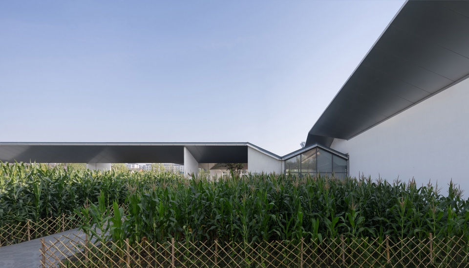 yuz museum by scenic architecture office