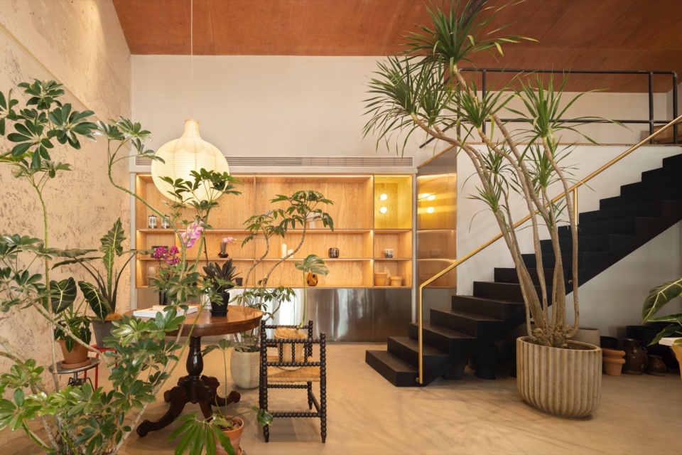 cangcang the green 11一楼自由搭配展示展示区©️黑水