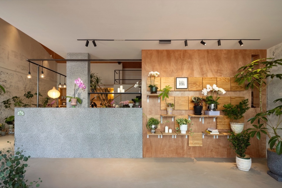 cangcang the green 4一楼盆栽展示区©️黑水