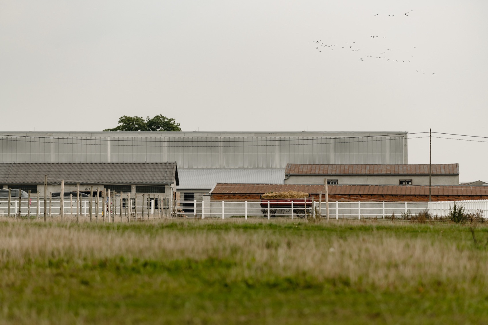 Horse House by wiercinskistudio 谷德设计网