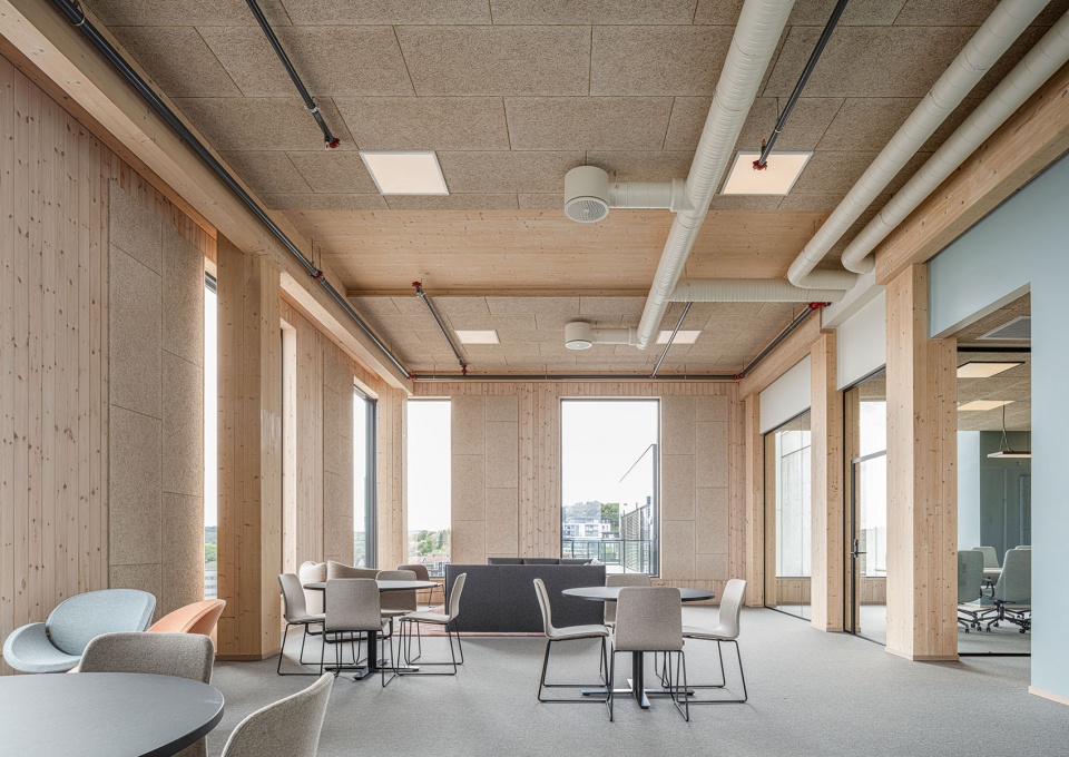 Lumber 4 Oslotre architects