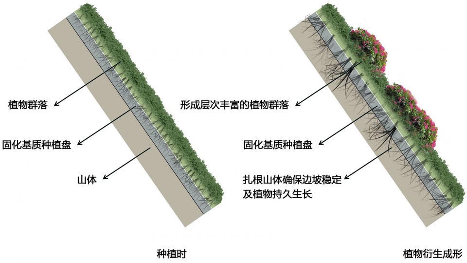 华南理工大学(五山校区)百步梯两侧边坡修缮加固工程 华南理工大学建筑设计研究院有限公司环境艺术设计一所