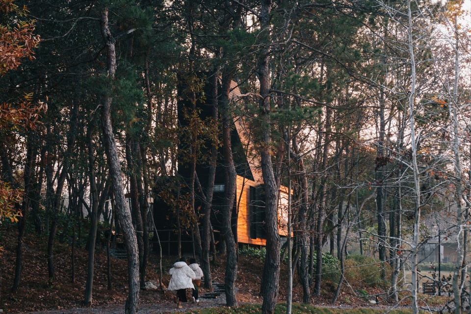 Fragrant Wiki World Natural Camp China by Wiki World Advanced Architecture Lab