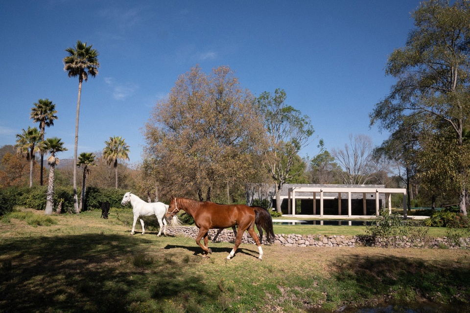 Pool Pavilion by Naso