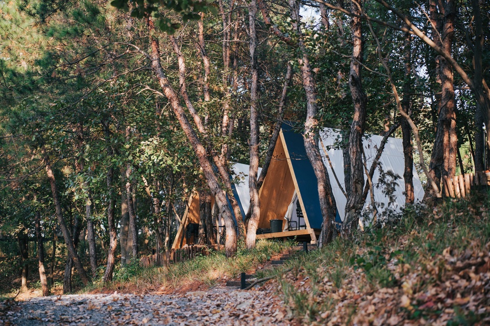Fragrant Wiki World Natural Camp China by Wiki World Advanced Architecture Lab