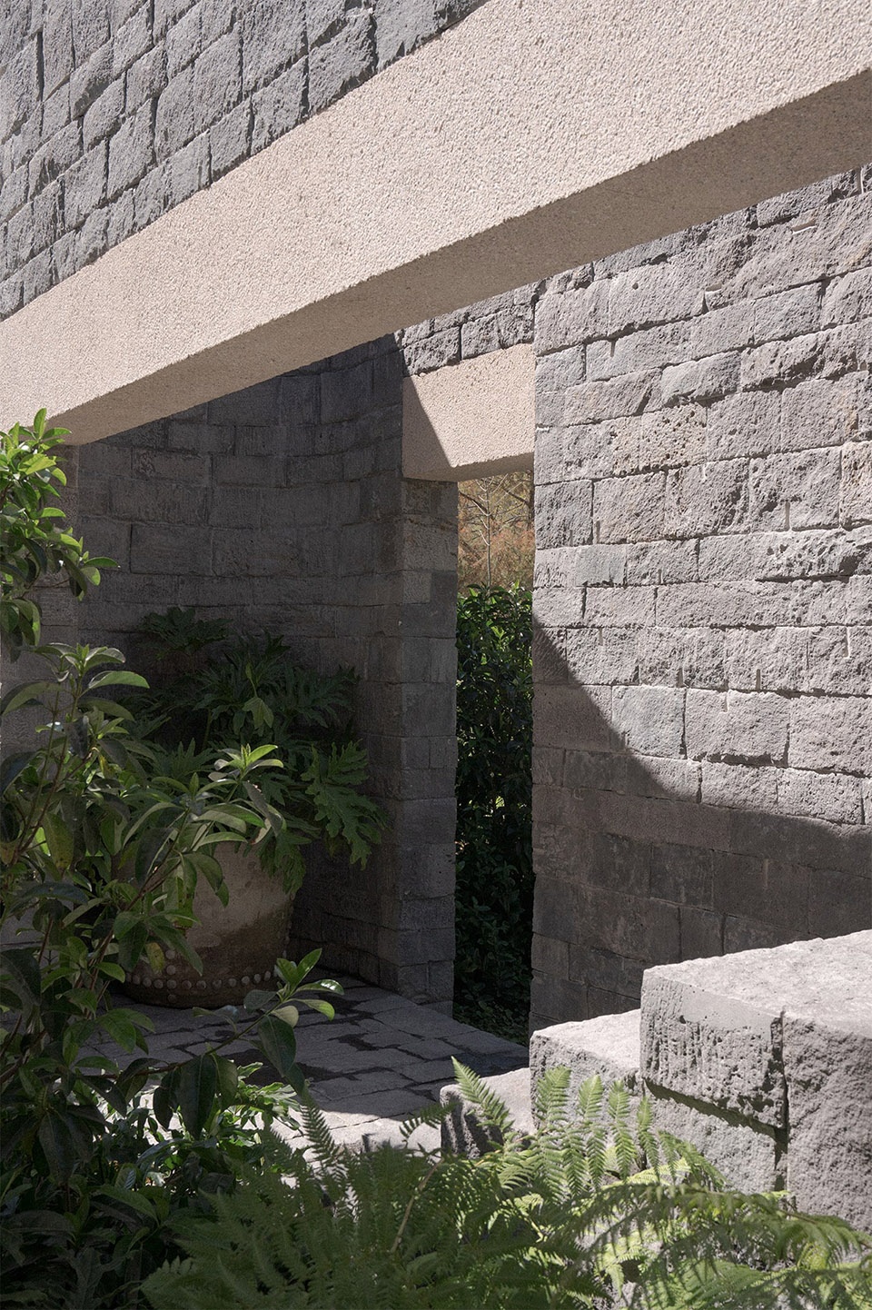 Pool Pavilion by Naso