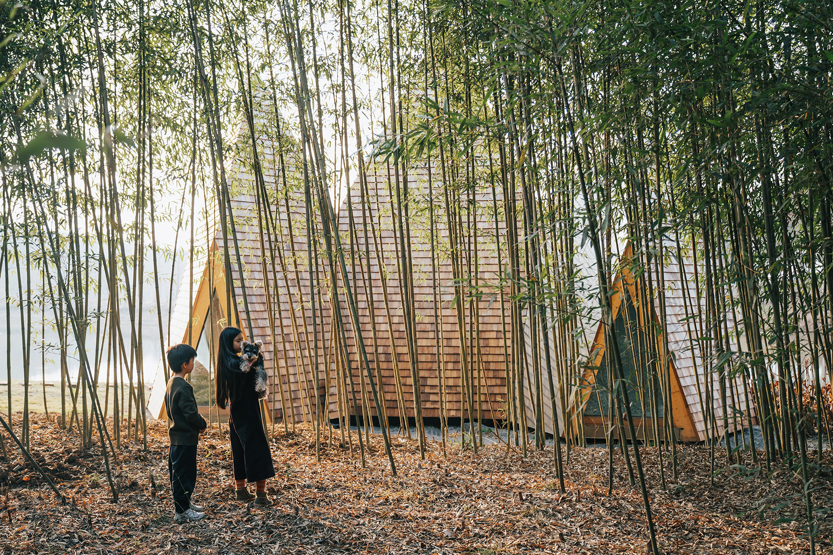 Fragrant•Wiki World Natural Camp, China By Wiki World & Advanced ...