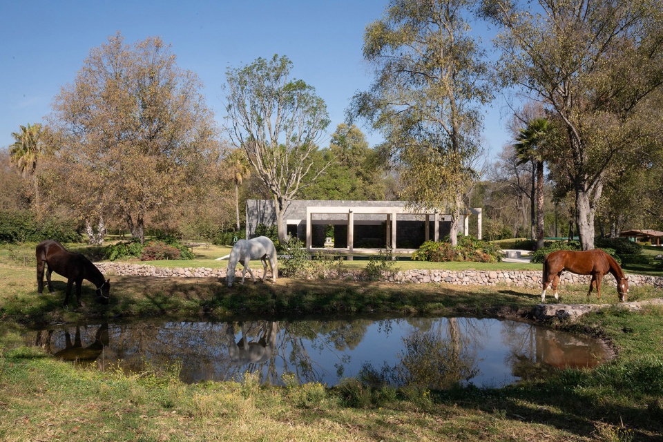 Pool Pavilion by Naso