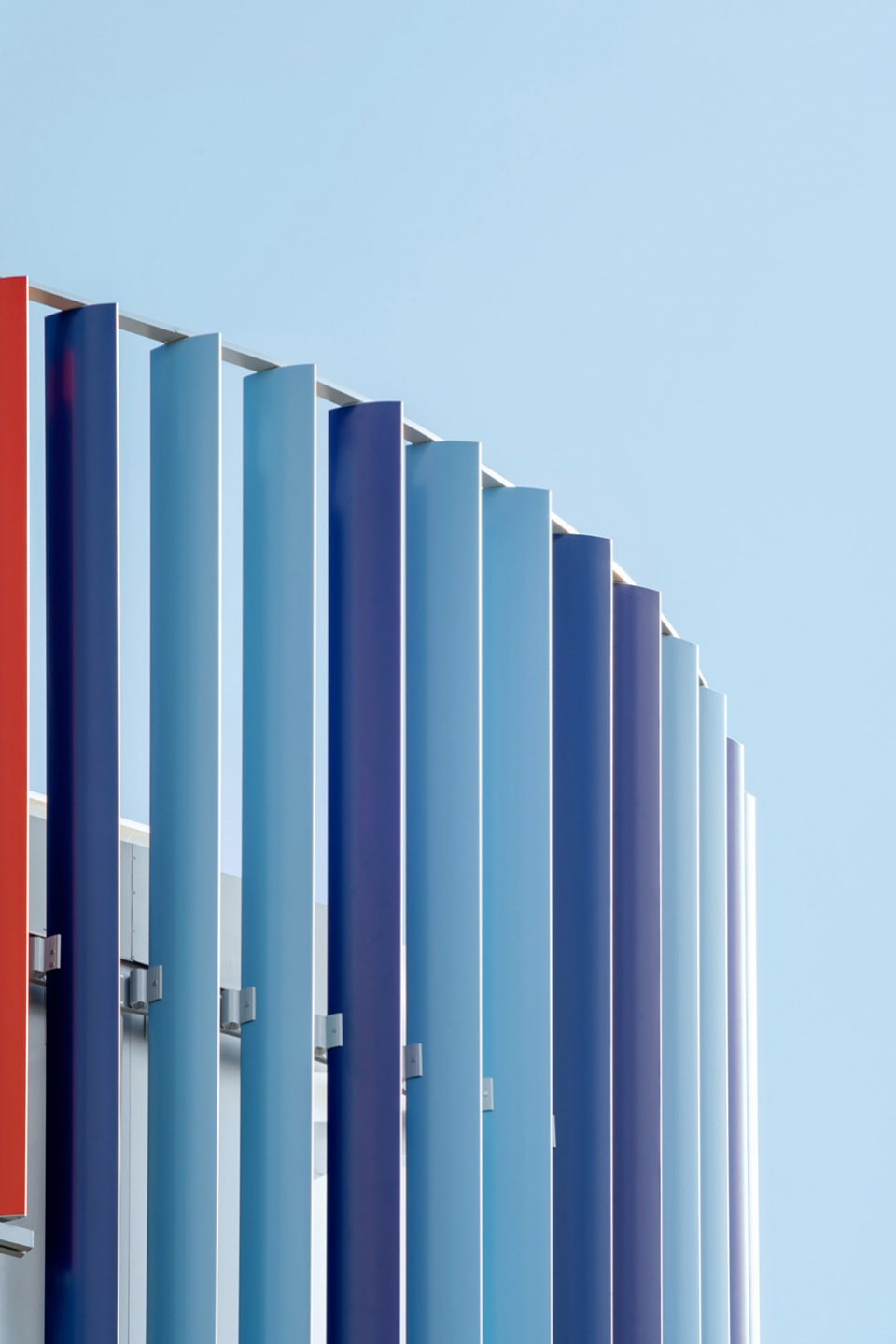cardinale carlo agostinelli school by settanta7