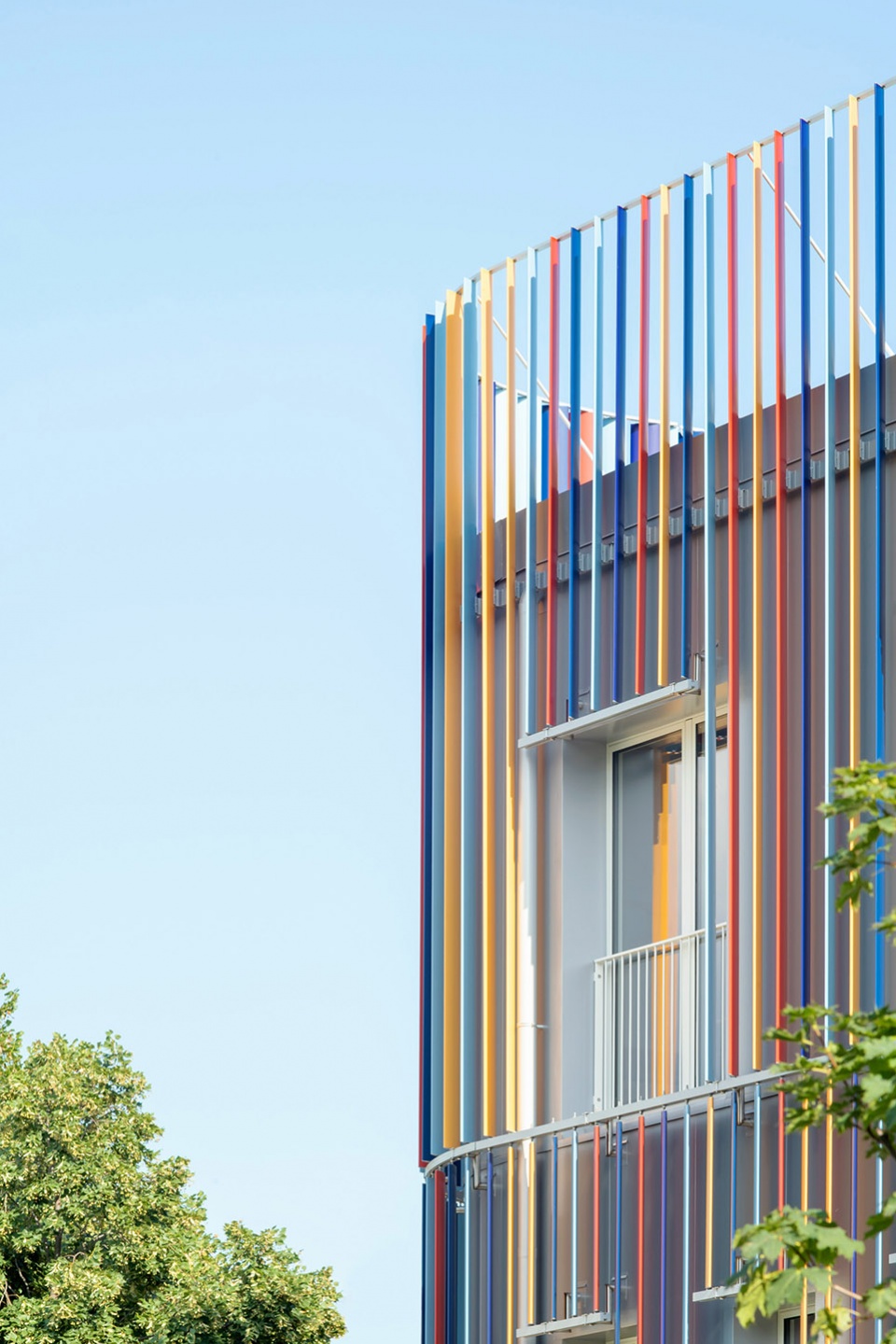 cardinale carlo agostinelli school by settanta7