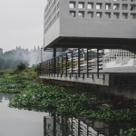 瀫石光河道护岸改造，浙江 / 华中科技大学建规学院 + 青·微舍工作室