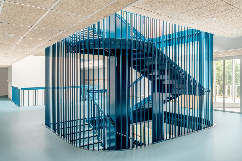 cardinale carlo agostinelli school by settanta7
