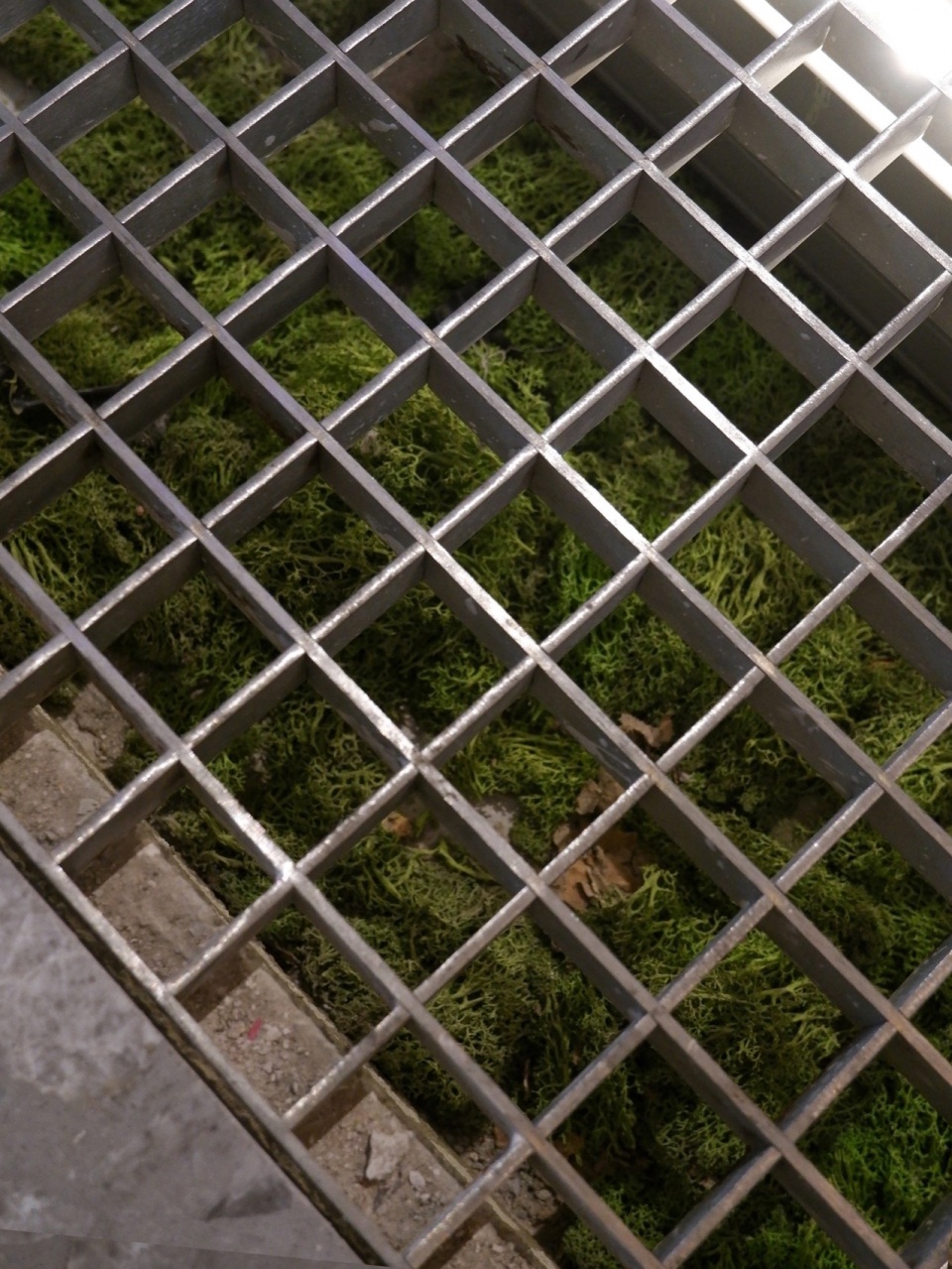 保留并种植绿色苔藓的排水沟 Preserved drainage channels with moss planted©Studio 10