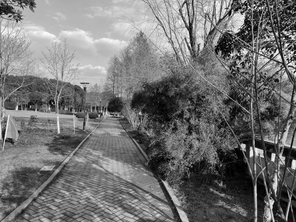 图10 北京林业大学 kunshan riverside park