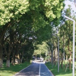 昆山环城滨江公园，江苏 / 北京北林地景园林设计院有限责任公司 + 北京林业大学