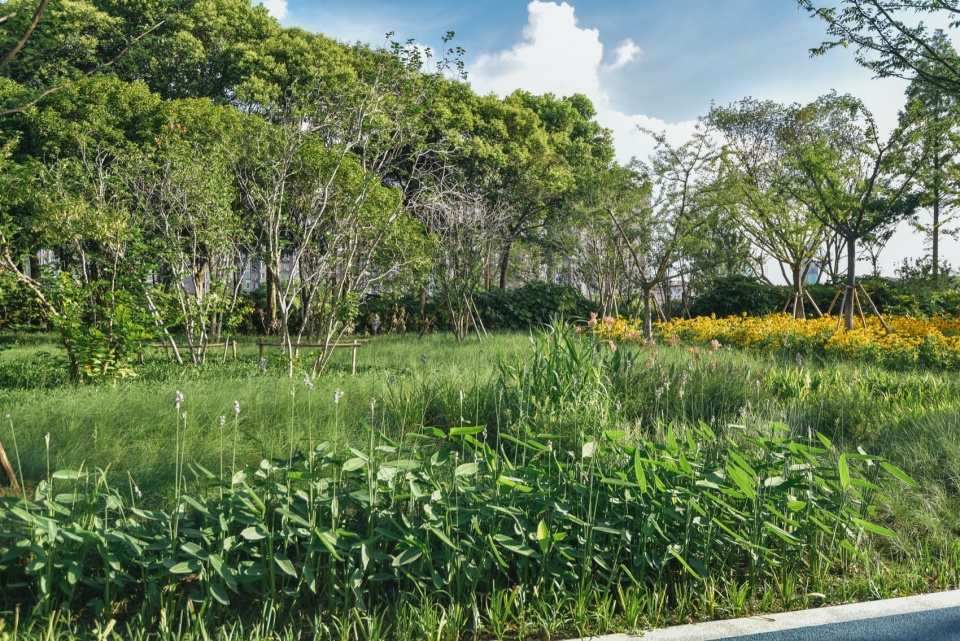 图39 昆山城投 kunshan riverside park